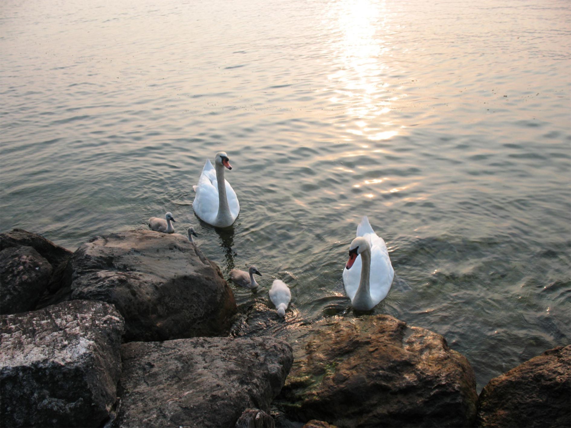 Natural beauty of Lake Garda