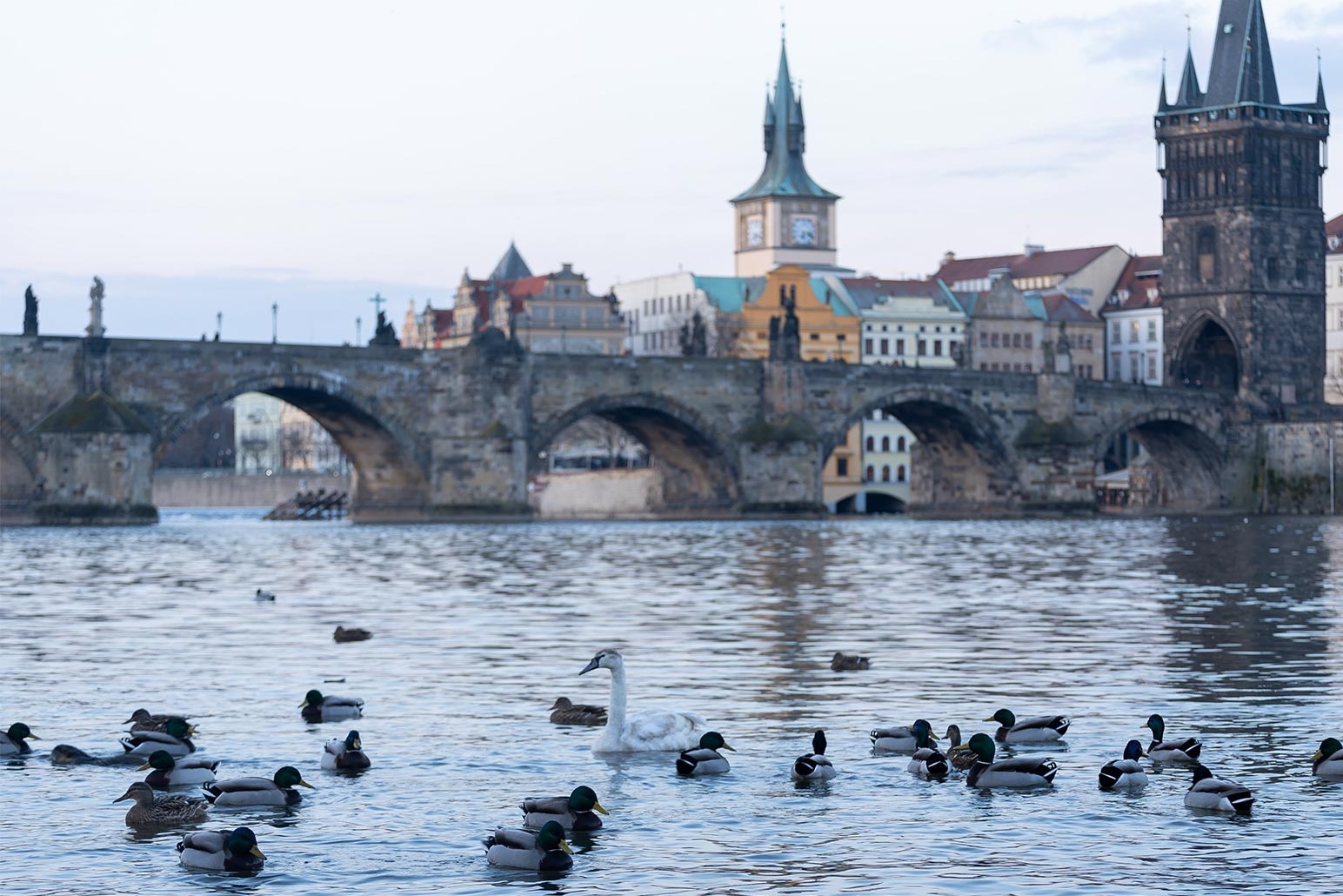 View of the stone Charles Bridge on the Vltava River in the center of Prague